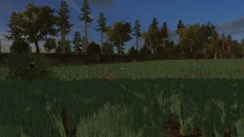 Gospodarstwo po babci FS17