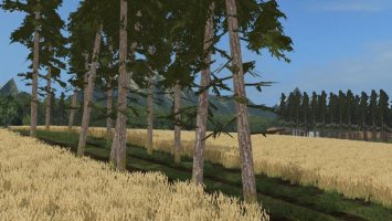 Allgäuer_Moor_2018 FS17