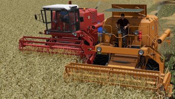 BIZON Z056 Czerwony/Miodowy FS17