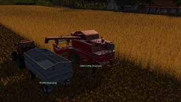 Fillable Vehicle Info fs17