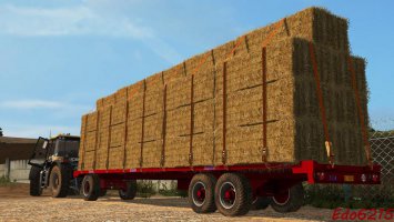 Bicchi 2A200R old FS17