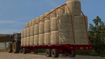 Bicchi 2A200R old FS17