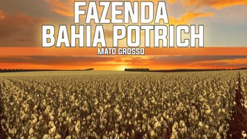 FAZENDA BAHIA POTRICH FS17