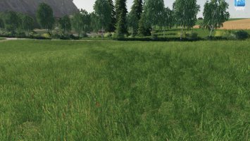 Forgotten Plants - Grass / Acre FS19