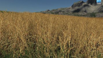 Forgotten Plants - Wheat / Barley v1.1 FS19