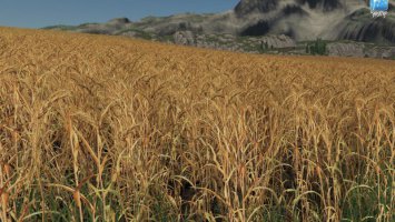 Forgotten Plants - Wheat / Barley FS19