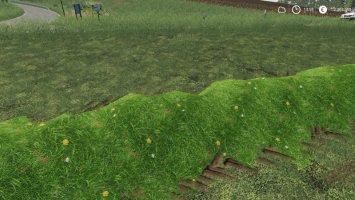 LS19 Grass Schwad Texture FS19