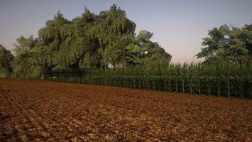 Corn and Soybean textures fs19