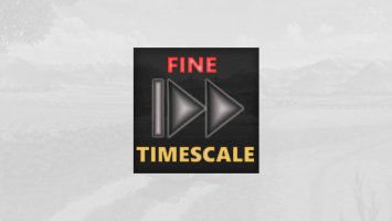 Fine Timescale Adjustment