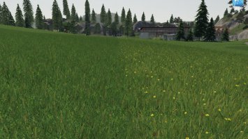 Forgotten Plants - Grass / Acre v2 FS19