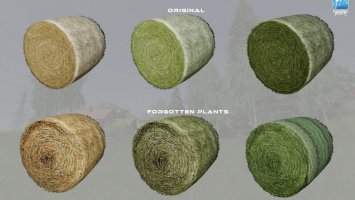 Forgotten Plants - Misc FS19
