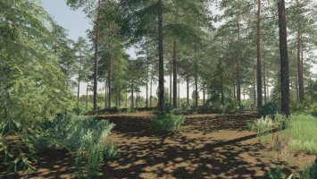 Lipinki V3 FS19