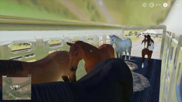 Wilson Ranch Hand Livestock trailer FS19