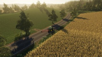 Rehweiler FS19