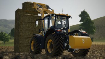 Gewicht SBG FS19