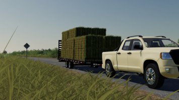 DO24 Trailer FS19