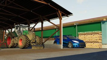 FORD FIESTA RALLY V1.19 fs19