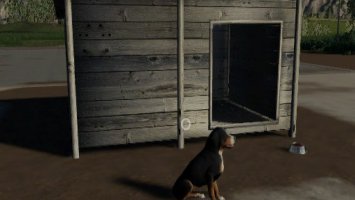 Hundehütte/ Doghouse fs19