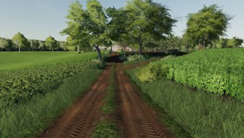 Lipinki V4 FS19