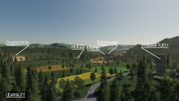 Schwatzingen FS19