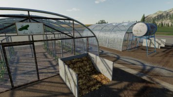 Cucumber Greenhouse