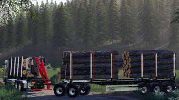 Fliegl Holz Rungen Anhänger v3 FS19