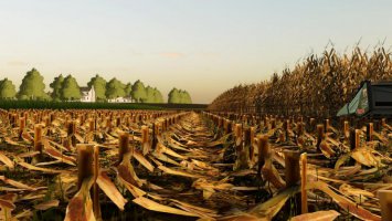 Corn and Soybean Textures v3.0 FS19