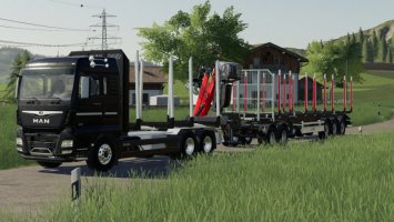 Fliegl Dolly FS19