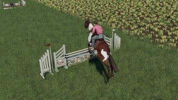 Obstacles Horse sport FS19