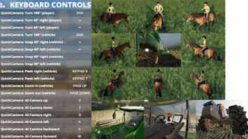 QuickCamera v2.1.0.9 FS19