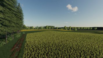 Rolnicze Pola V1 FS19