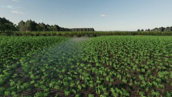 Midwest Horizon v1.1.0.0 FS19