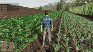 FS19_YourFarm V.1.0.1 FS19