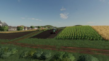 Mini_Mapa FS19