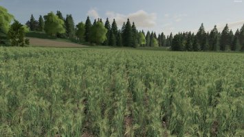 Plant rows by Albinator FS19