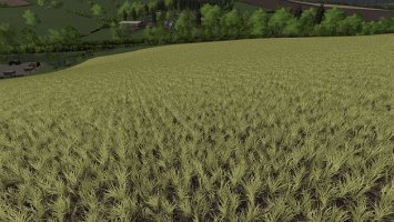 Realistic Cereal and Canola Crop Densities FS19