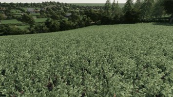 Realistic Cereal and Canola Crop Densities FS19