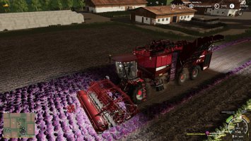 FS19_YourFarm V.2.0 final FS19