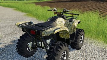 Yamaha Grizzly FS19