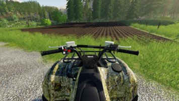 Yamaha Grizzly FS19