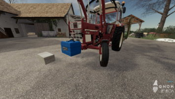 [FBM Team] 2 kleine Frontgewichte für Oldies FS19