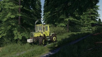 [FBM Team] 2 kleine Frontgewichte für Oldies FS19