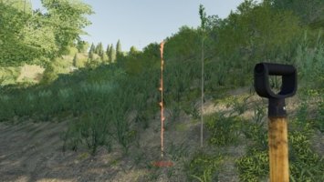 Hand Plant Saplings FS19