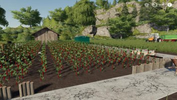 CHILI PEPPER GARDEN FS19