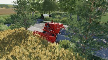 MINI_MAPA v1.1 FS19