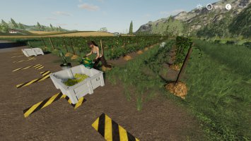 Weinrebenpack fs19