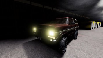 Ford Bronco Custom 1978 FS19