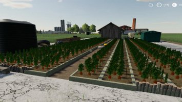 CARROT PRODUCTION FS19