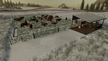 Cow Pasture FS19