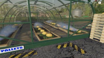 MELON PRODUCTION FS19